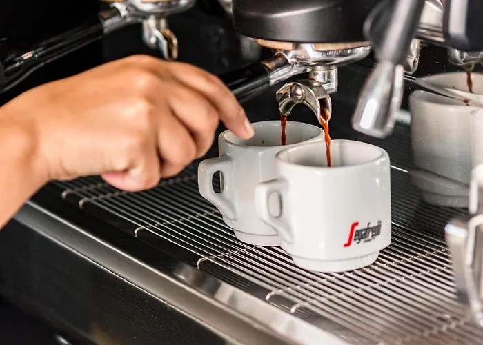 Ibis Paradiso ホテル